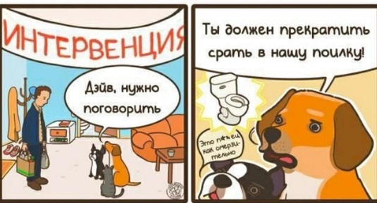 Без проблем