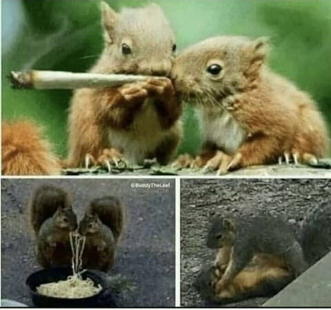 Прикольные и просто красивые картинки 04.04.2025