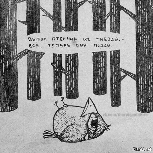 Ай, молодца