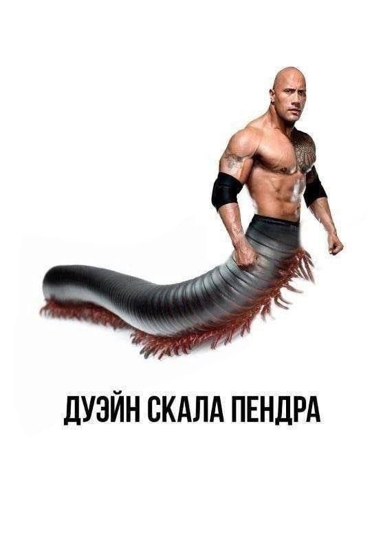 Среды картинки