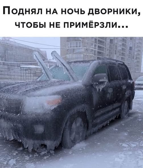 Пятничные бояны