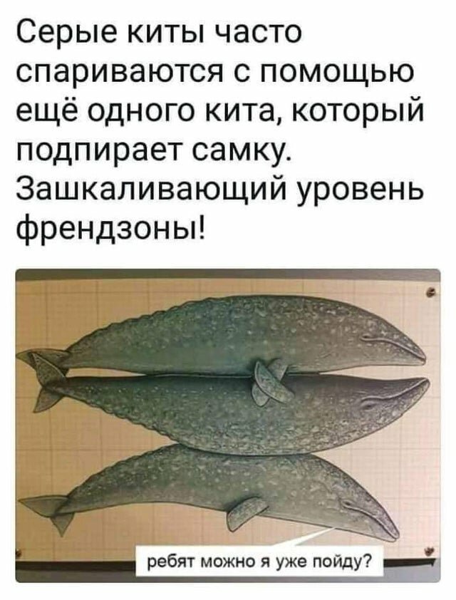 Картинки про отношения М и Ж