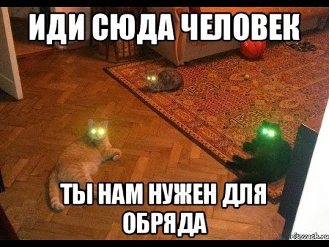 Руководителей секты «Царская империя»*
