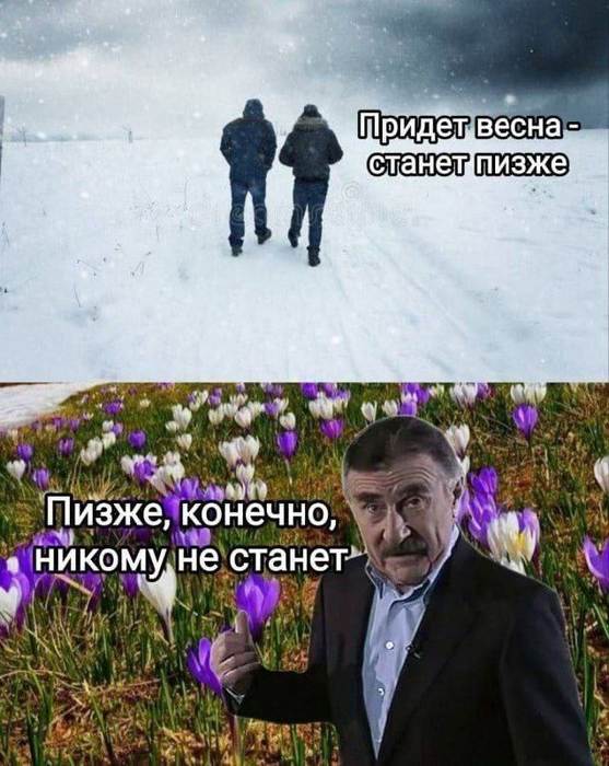 Картинки для деградации 154 (разной степени свежести)