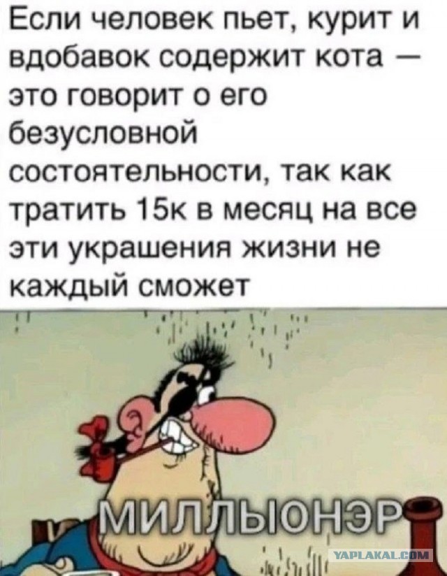 Так себе картинки 06.05.26