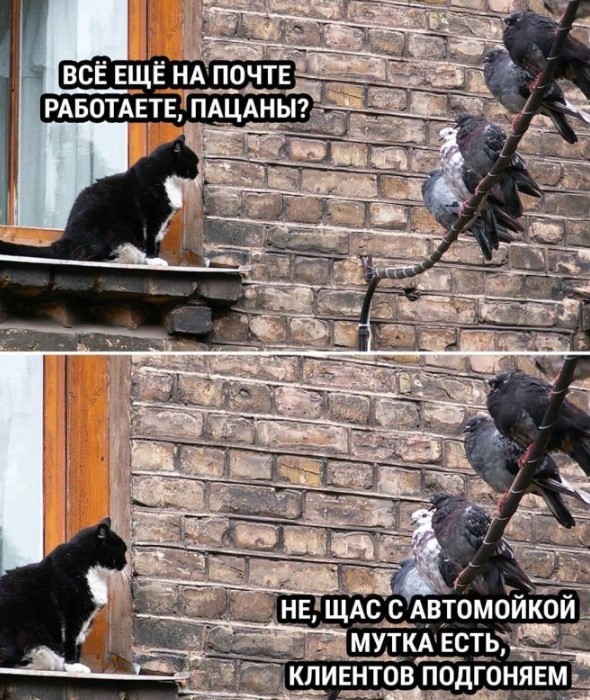 Картиночки, баянчики 05 июня