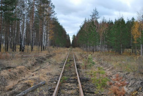 Дрова оказались важнее людей: как Курша-2 исчезла в огне и почему об этом молчали