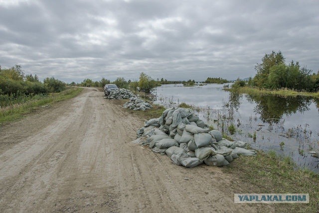 Всё, вода уходит! А вместе с нею печаль, разруха..