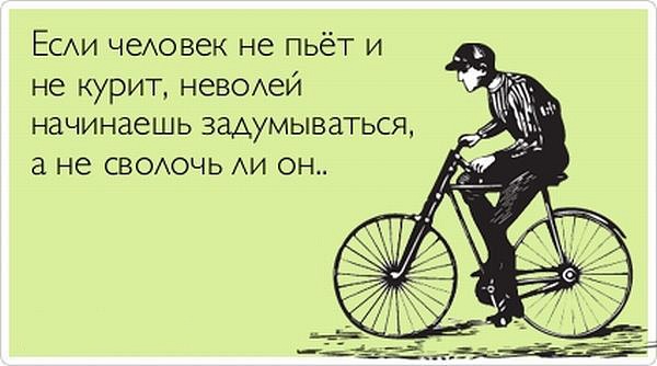 Лучшие  «аткрытки»года