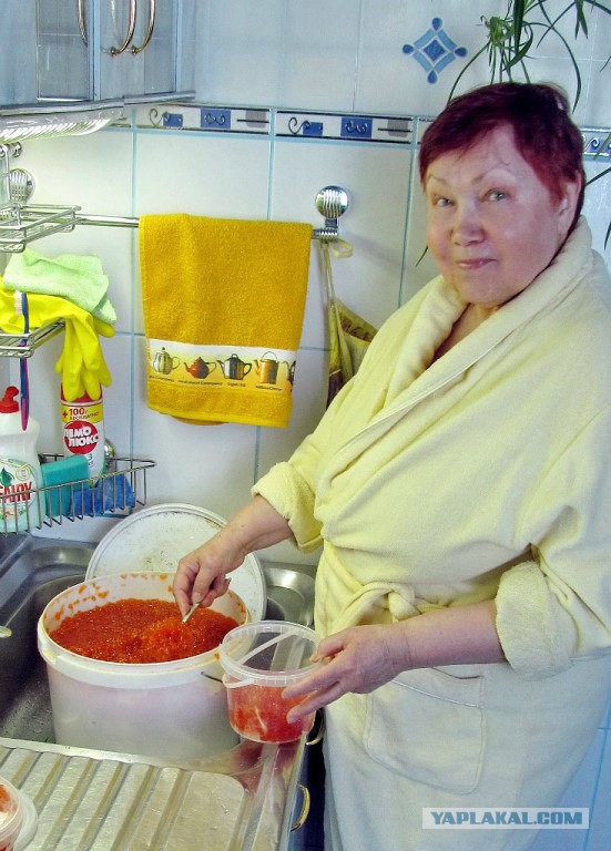 Попросили бабушку