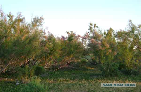 Деревенская Америка