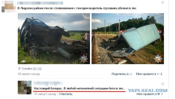 Смешные картинки и комментарии