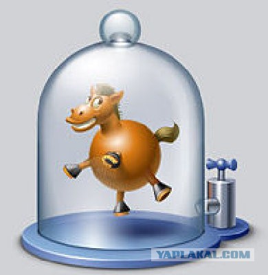 О чем шутят ученые