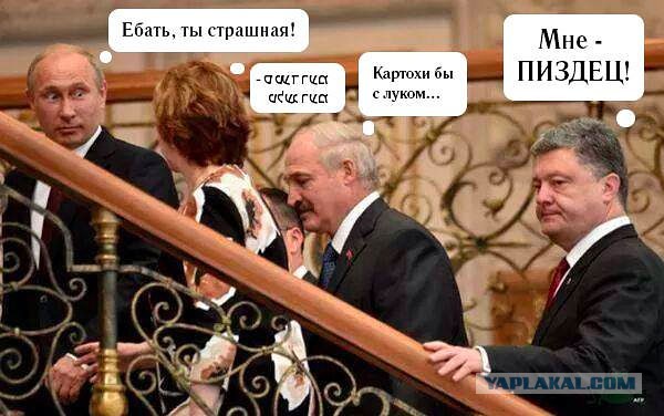Не зли
