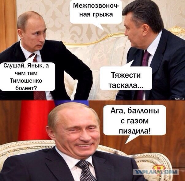 Свежие картинки из сети