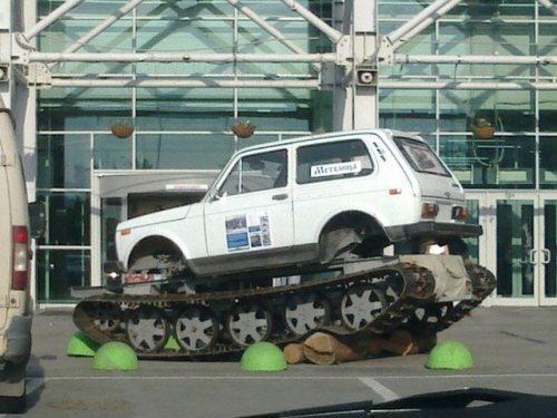 Весёлые картинки