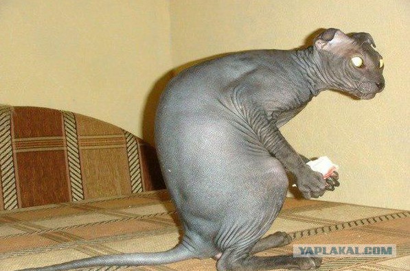 Вот это меня торкнуло