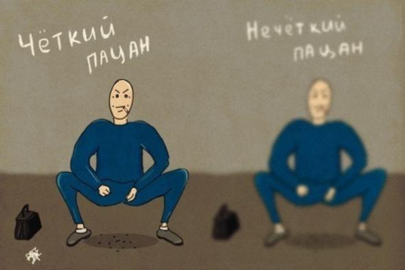 25 удивительных фактов о животных