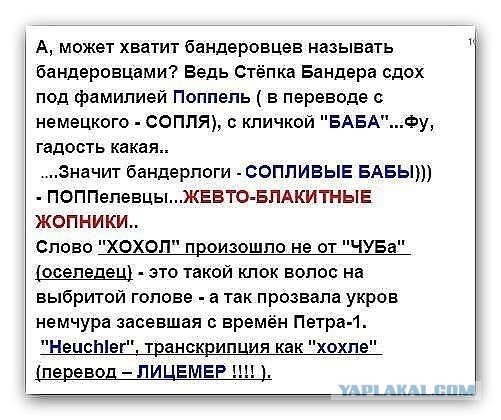 Истерикой нацистов удовлетворен
