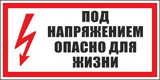 Кто победит: крокодил или электрический угорь?, крокодил или электрический угорь?