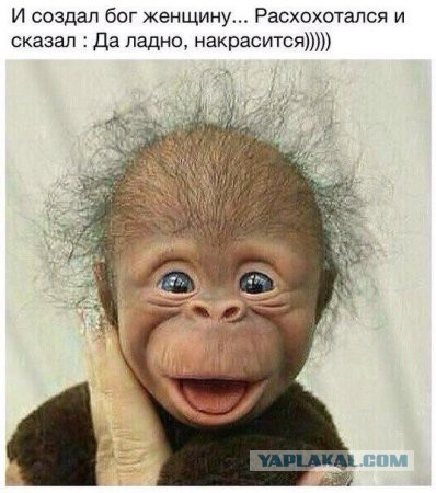 Смешные картинки №...дцать
