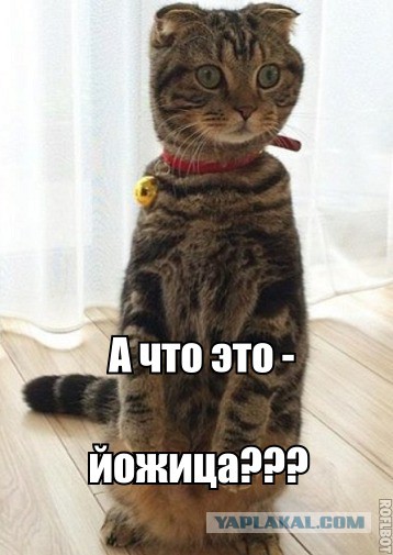 Очередное видео  Jyoti