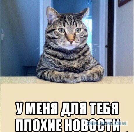 Крик души.