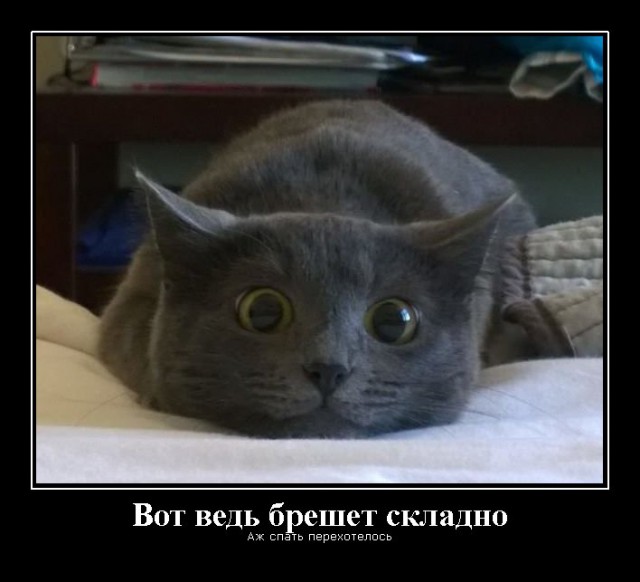 Вопрос Путину..