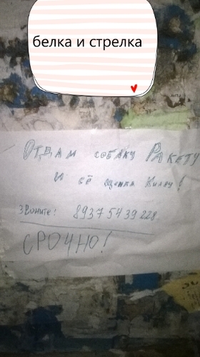 Надписи, вывески, объявления и другие буквы