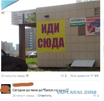 Ужасы и приколы из соцсетей 18+