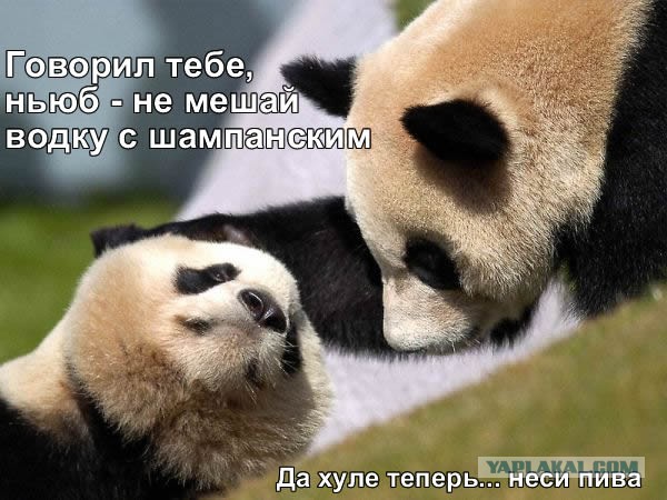 Ура... Пятница!