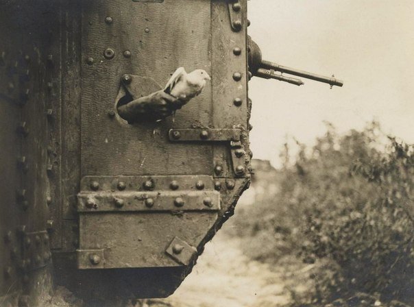 Немного интересных исторических фот