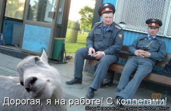 Немного картинок на воскресенье