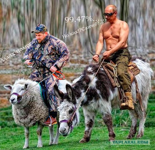 Кадыров - позор России