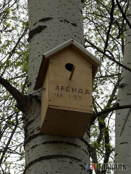 ОБЪЯВЛЕНИЯ. На стенах, в газетах, афиши.