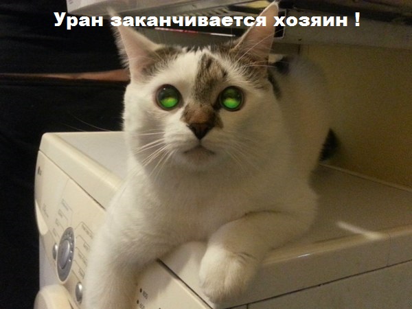 Злые шутки или минутка сарказма на ЯП-е, 16+