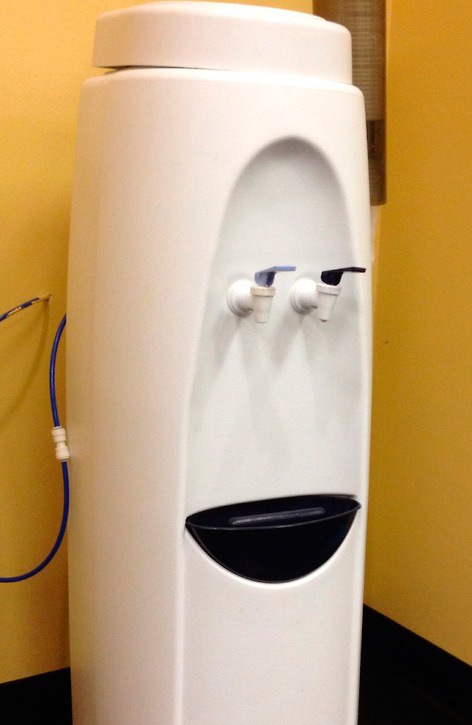 Они живые. Они смотрят на нас!