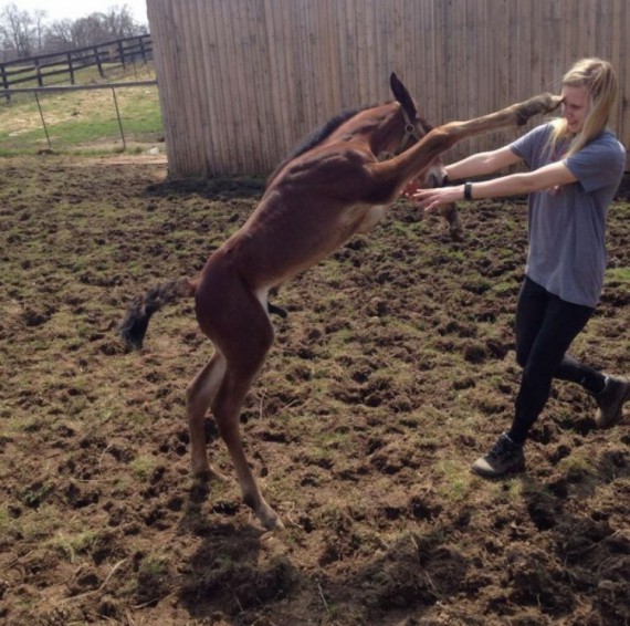 Картинки, интересные и веселые