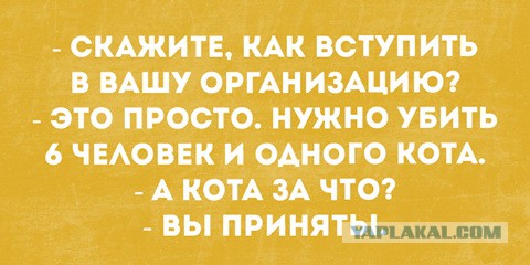 Подборка приколов