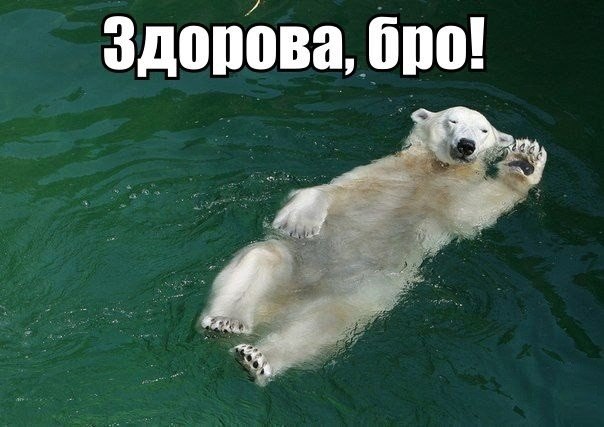 Божьи твари