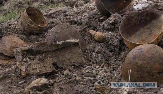 Мончаловские Леса Карты Мончаловские Леса Карты