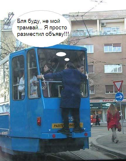 Фотожаба: Заяц на трамвае