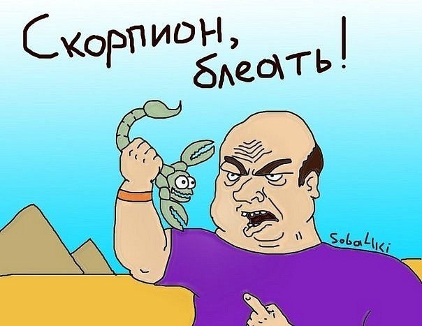 Приколы про скорпионов мужчин в картинках