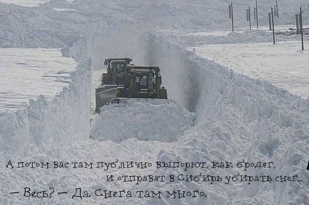 Подборка интересных и веселых картинок