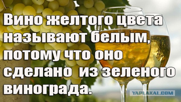 Адская бредятина со всей галактики