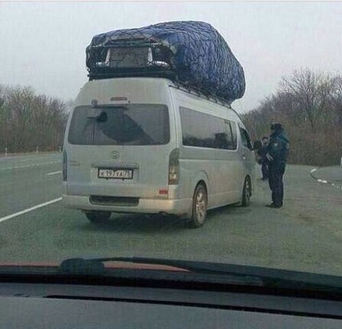 Подборка безудержного веселья