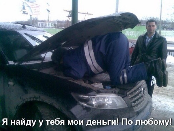 Подборка безудержного веселья