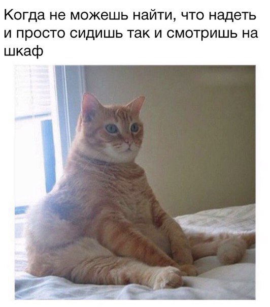 Прикольные картинки 04.06.2017