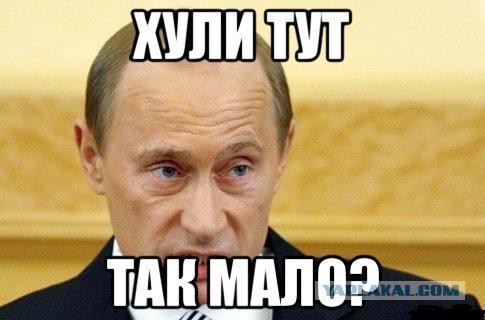 Счёты