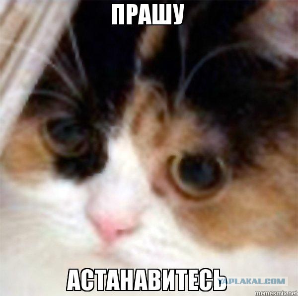 Необычное исполнение песни гр. КИНО